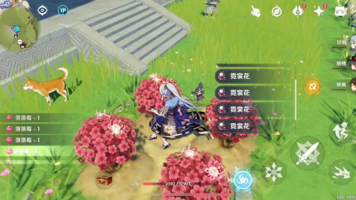 原神霓裳花分布在哪有2