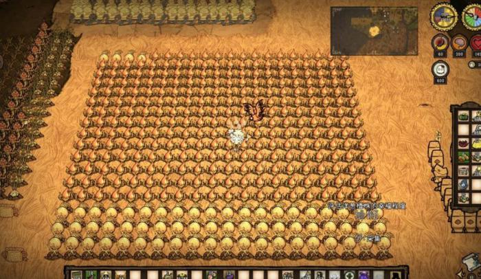 饥荒联机版鸟类有什么行为2