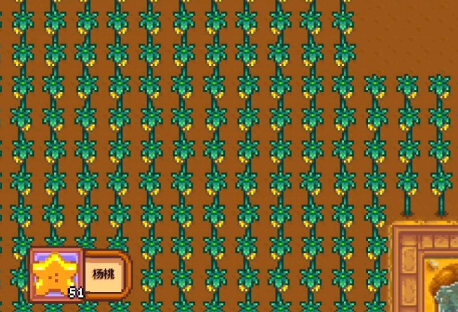 星露谷物语不同季节种什么收益最高2