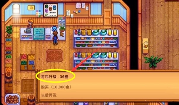 星露谷物语背包扩大方法有哪些3