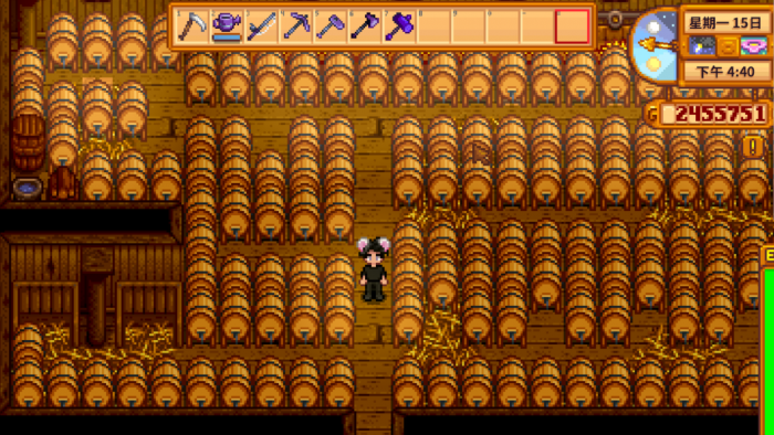 星露谷物语新手怎么赚钱3