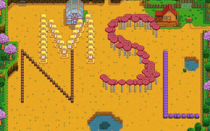 星露谷物语地面铺什么好看3