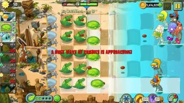 植物大战僵尸2鳄梨怎么样2