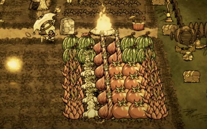 饥荒联机版如何正确种地1