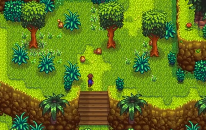 星露谷物语菠萝作物有哪些特性1