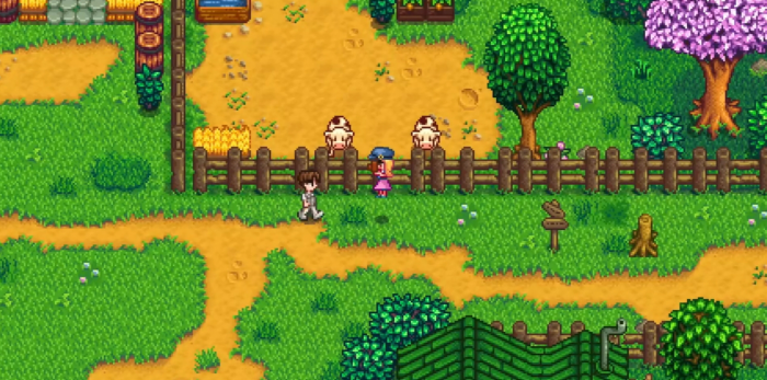 星露谷物语海莉八心后怎么做1