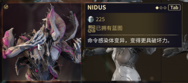 星际战甲萌新成长指南怎么获得_星际战甲新手成长路线