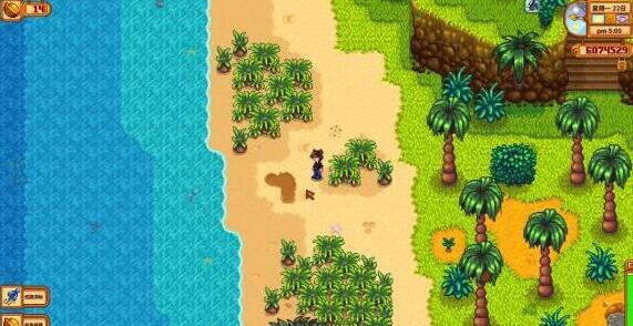 星露谷物语姜岛海盗湾在哪_星露谷物语姜岛海盗湾攻略