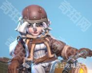 《无尽冬日》1~5代英雄获取方法17