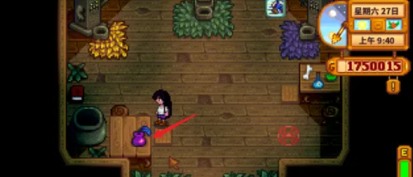 星露谷物语姜岛图腾柱怎么解锁2