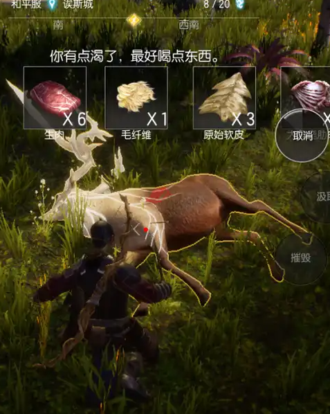 黑暗与光明怎样烤肉2