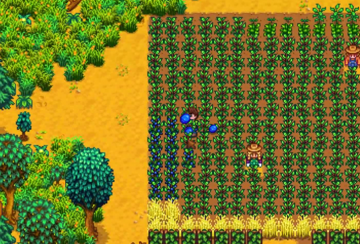 星露谷物语第一年夏天怎么赚钱2