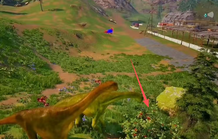 恐龙岛素食龙怎么找吃的1