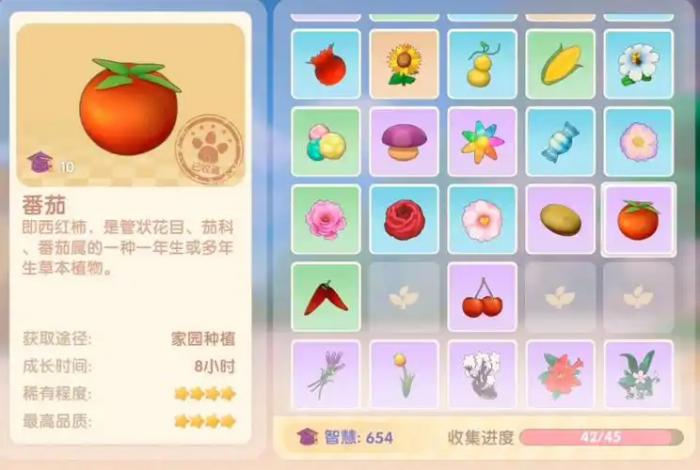 摩尔庄园水球和番茄怎么用3