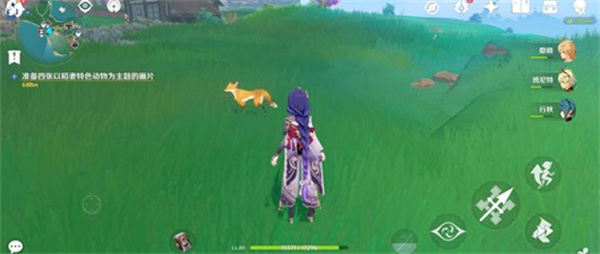 原神月章星句第二天稻妻动物拍照攻略1