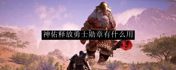 神佑释放勇士勋章用途_神佑释放 勇士勋章