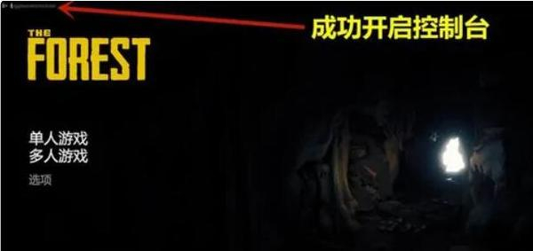 森林之子作弊码输入不了怎么办1