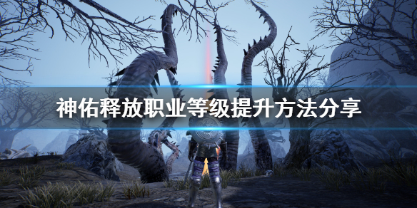 神佑释放怎么提升职业等级1