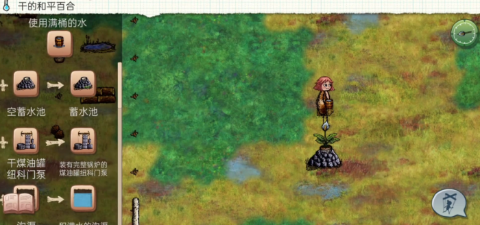 希望之村怎么养和平百合1