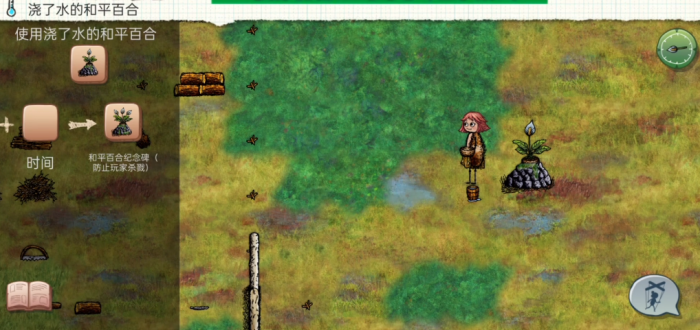 希望之村怎么养和平百合2