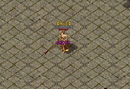 如何让城主头上显示城主_如何生成主城