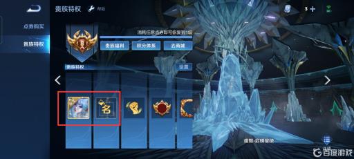 王者的贵族有什么用?11