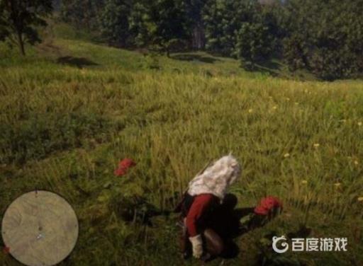 荒野大镖客2香叶蓍位置在哪?3