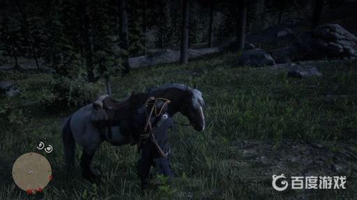 荒野大镖客2怎么清洗马匹?3