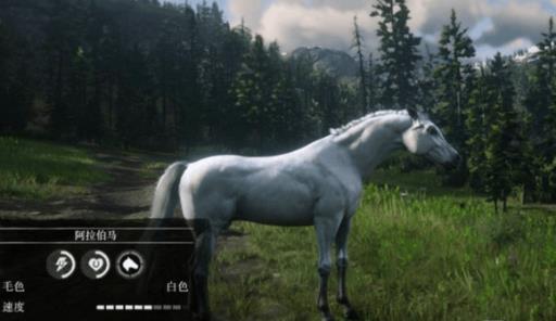 荒野大镖客1最好的马在哪里获得?3