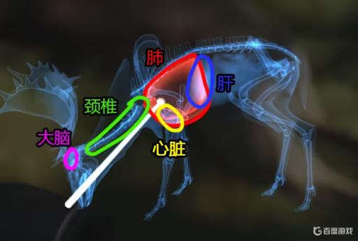 荒野的召唤动物要害部位在哪?1