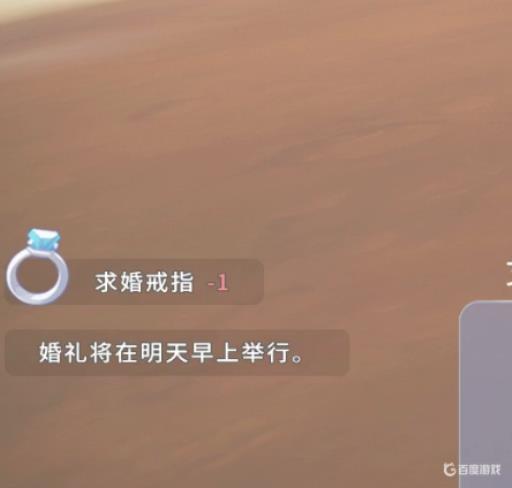 波西亚时光怎么结婚?6