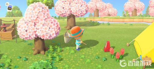 动森樱花花瓣怎么获得?3