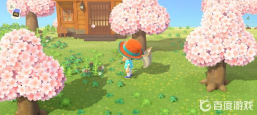 动森樱花花瓣怎么获得?4