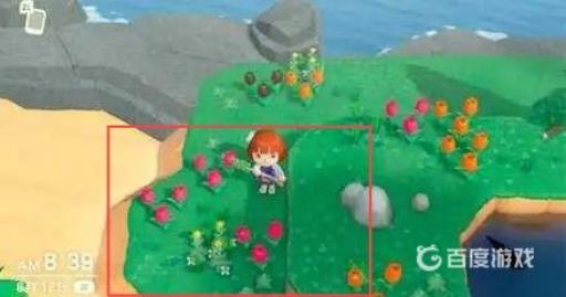 集合啦！动物森友会无人岛的类型有哪些?4