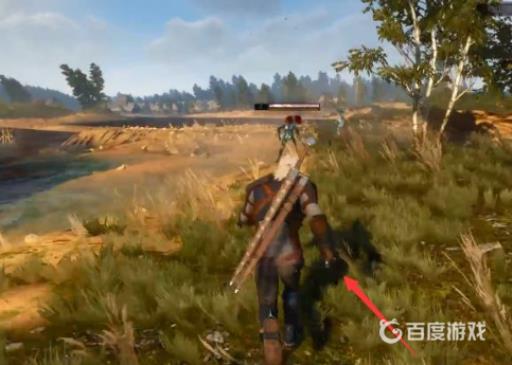 巫师3水鬼脑怎么获得?3