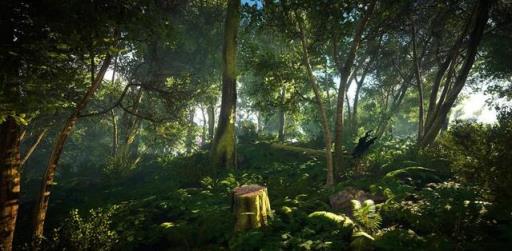 森林没有状态显示了怎么办?3