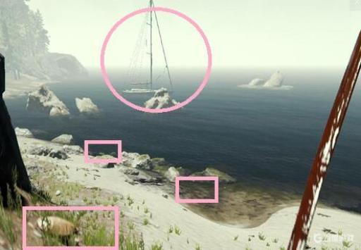 theforest乌龟壳在哪?4