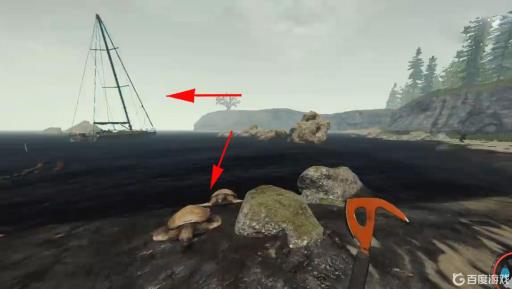 theforest乌龟壳在哪?5