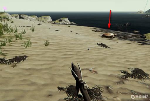 theforest乌龟壳在哪?6