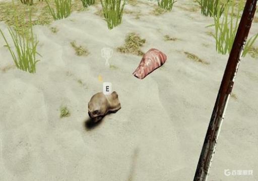 theforest乌龟壳在哪?8