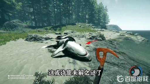 森林怎么杀鲨鱼?2