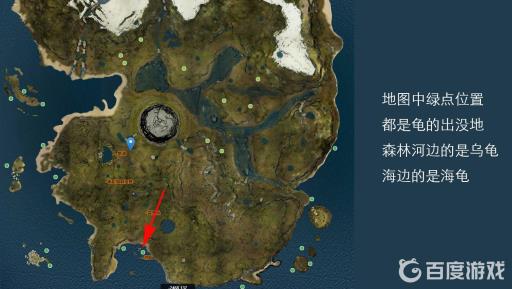 森林龟壳怎么获得?2