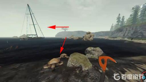 森林龟壳怎么获得?3