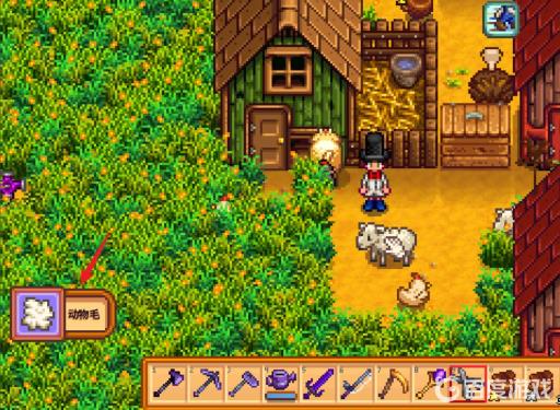 星露谷羊毛怎么获得?5