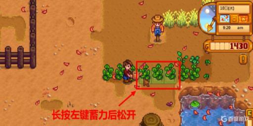 星露谷水壶升级有什么效果?2