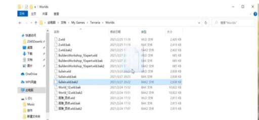 泰拉瑞亚存档删如何找回?3