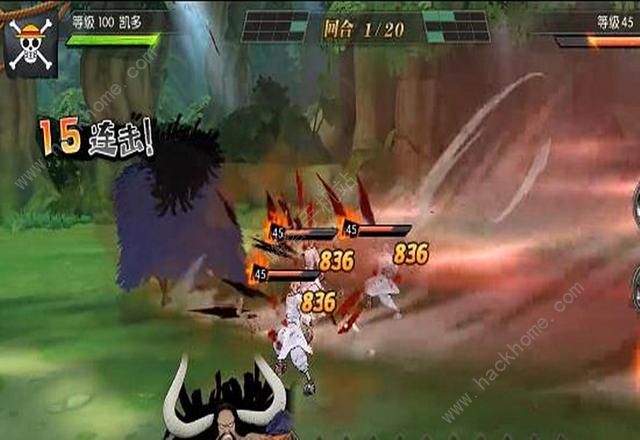 航海王燃烧意志凯多技能是什么2