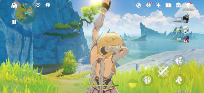 原神塞西莉亚花在哪3