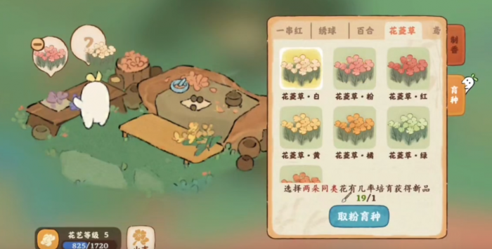 桃源深处有人家白花菱草怎么种_桃园深处有人家花菱草紫怎么配