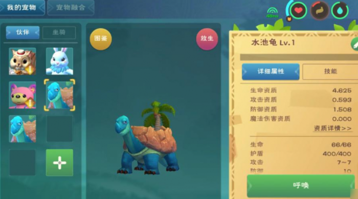 创造与魔法水龟吃什么2